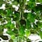 6.5ft. UV Resistant Artificial Ficus Tree (Indoor/Outdoor)